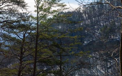 Dome 6 at The Canyon at Pond Creek in Tennessee