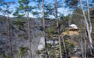 Dome 1 exterior at The Canyon at Pond Creek — glamping in Tennessee that sleeps 8