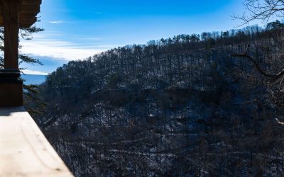 Wooded landscape between Domes 5 and 6 at The Canyon at Pond Creek glamping resort in Tennessee
