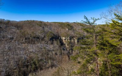 Landscape view from between Domes 5 and 6 at The Canyon at Pond Creek in Tennessee